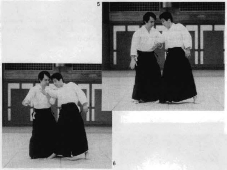 Daitoryu photo 162