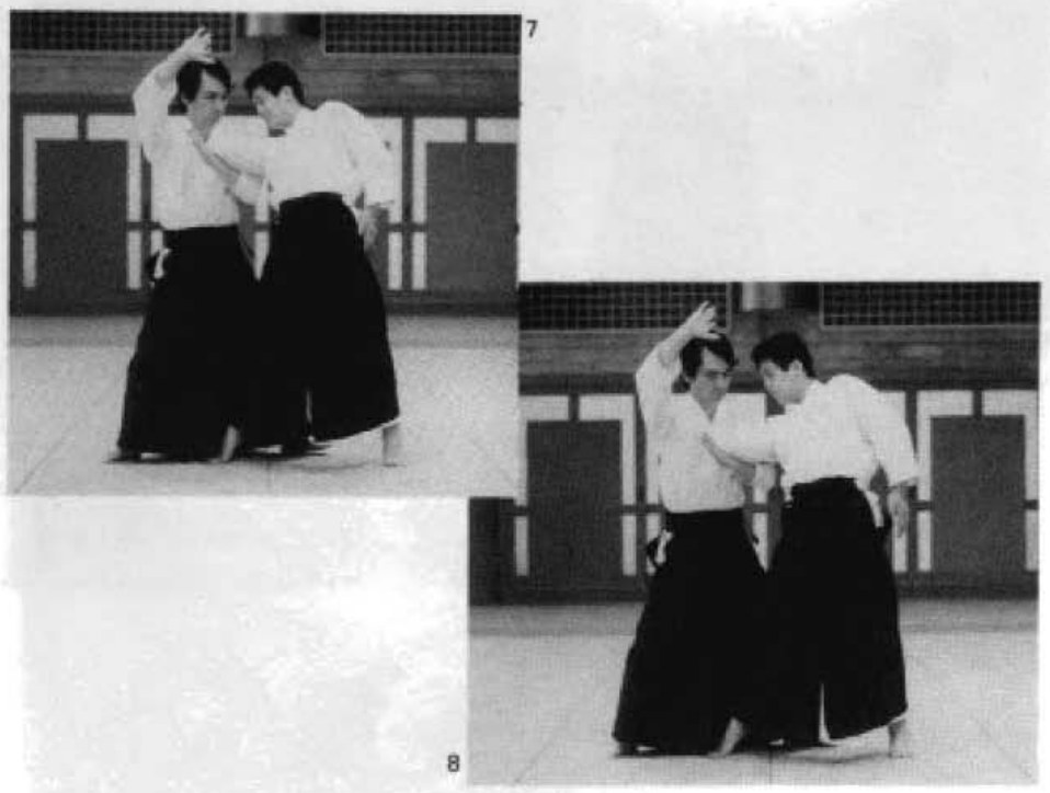 Daitoryu photo 163