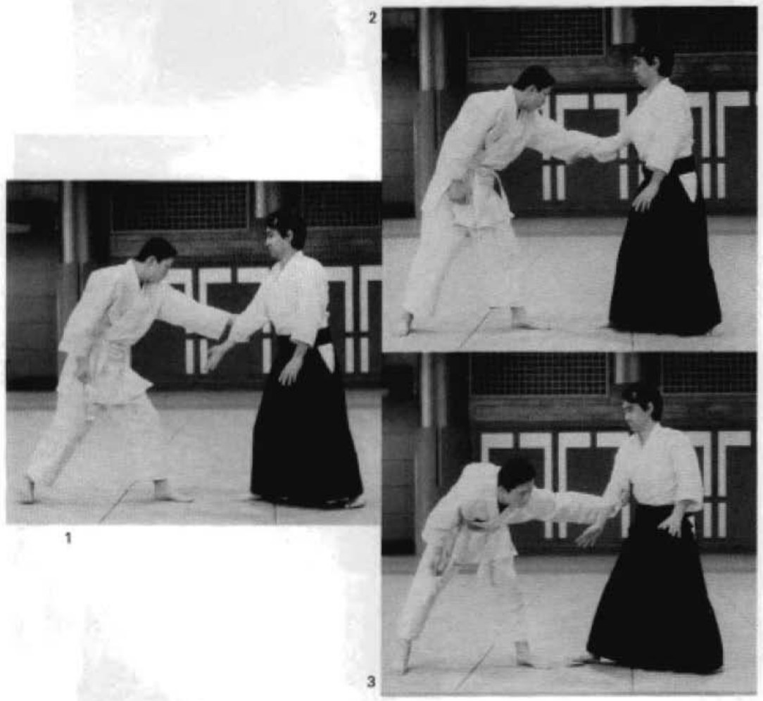 Daitoryu photo 164