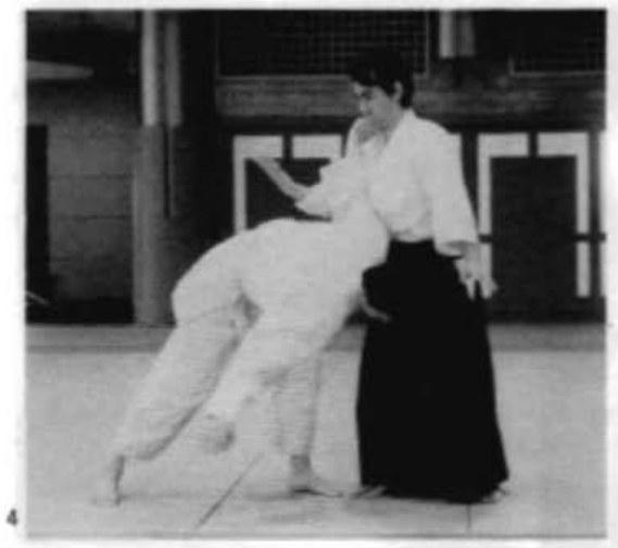 Daitoryu photo 165