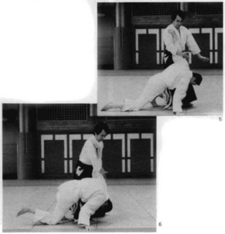 Daitoryu photo 166