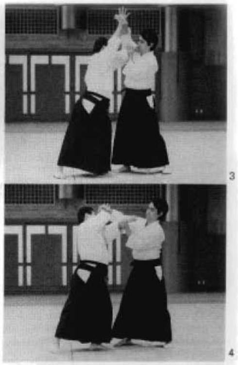 Daitoryu photo 167
