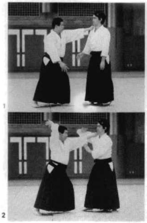 Daitoryu photo 168