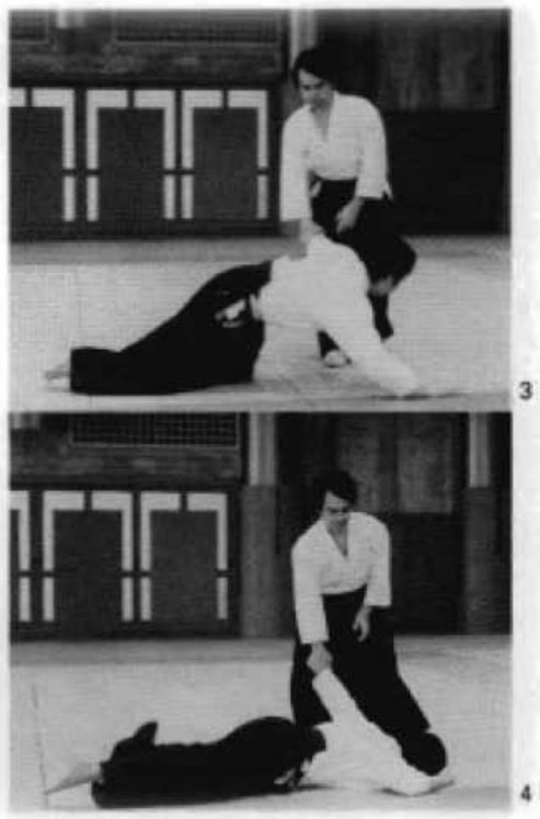 Daitoryu photo 171