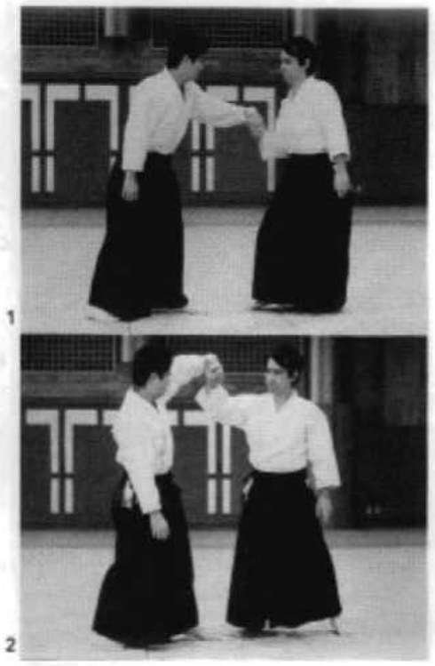 Daitoryu photo 172