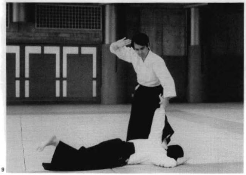 Daitoryu photo 174