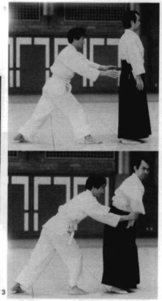 Daitoryu photo 175