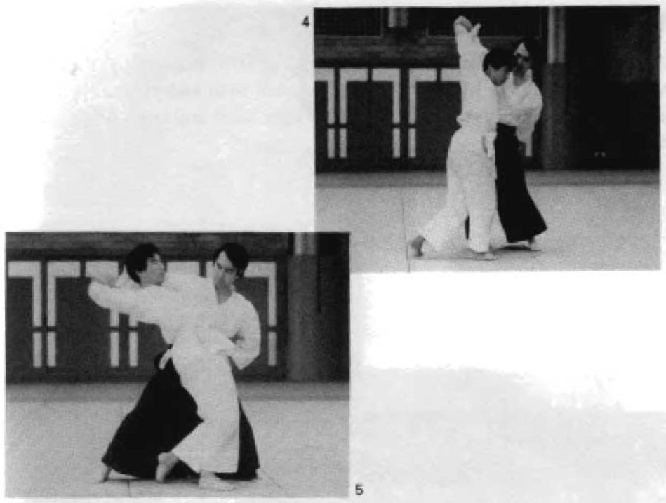 Daitoryu photo 177