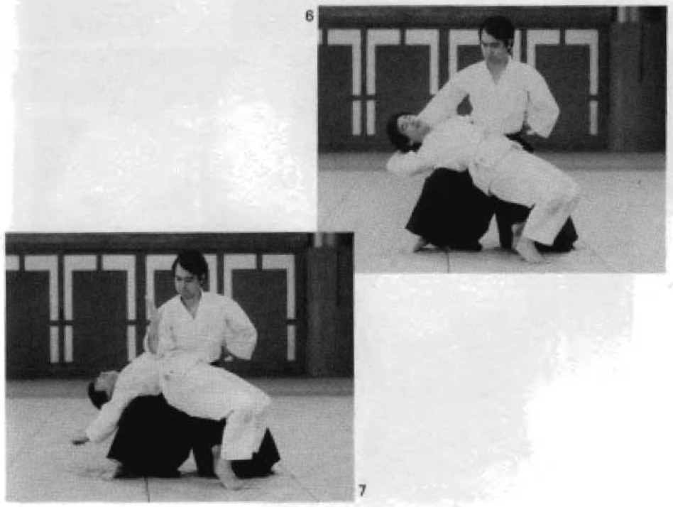 Daitoryu photo 178