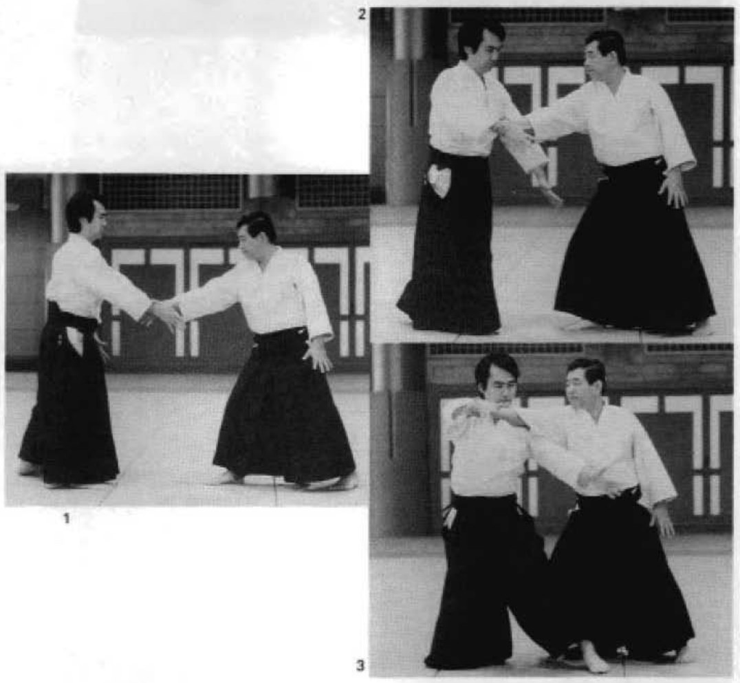 Daitoryu photo 179