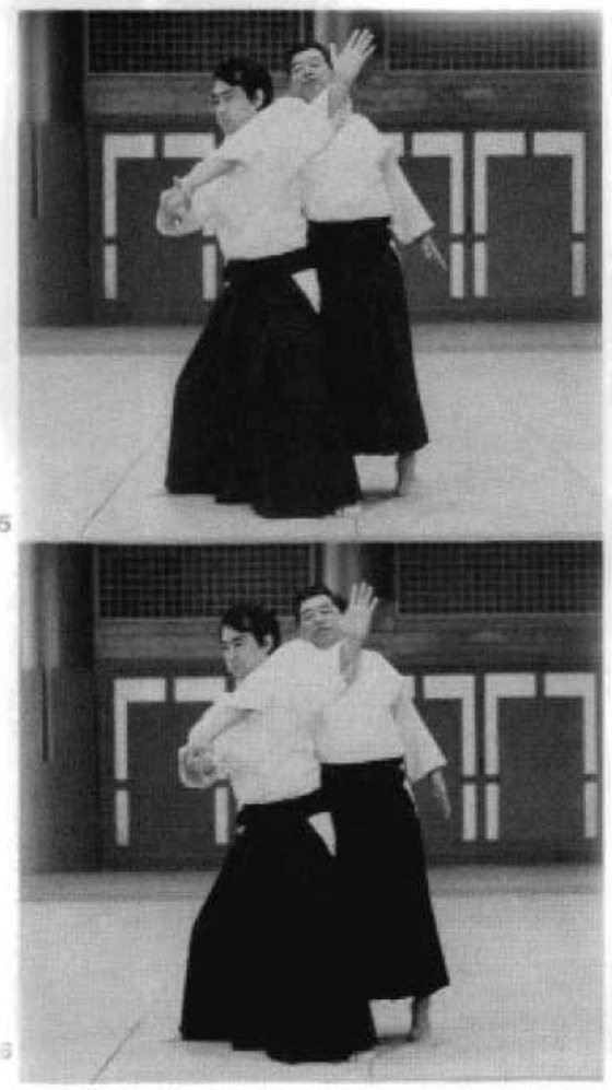 Daitoryu photo 181