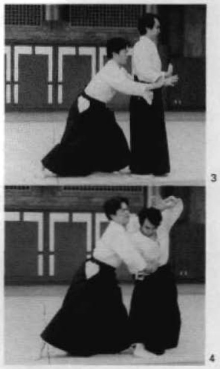 Daitoryu photo 182