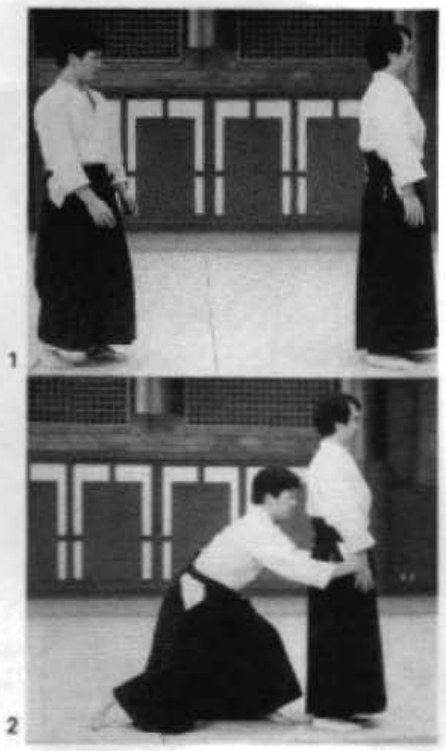 Daitoryu photo 183