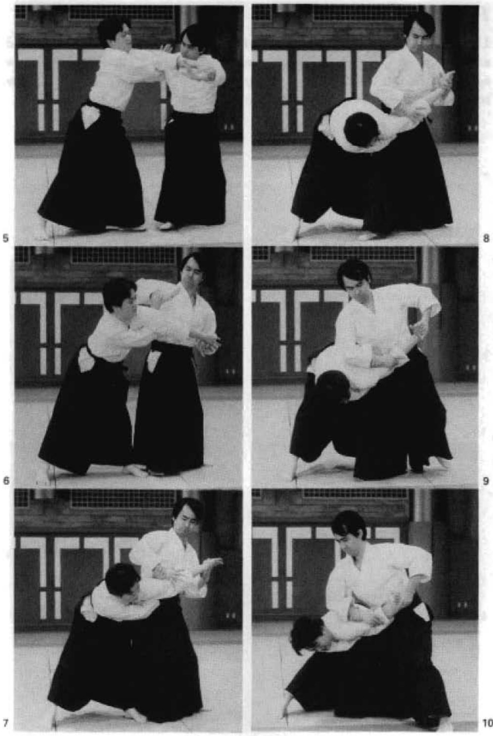 Daitoryu photo 184