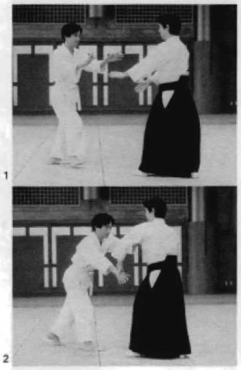 Daitoryu photo 185