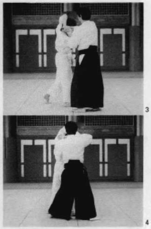 Daitoryu photo 186