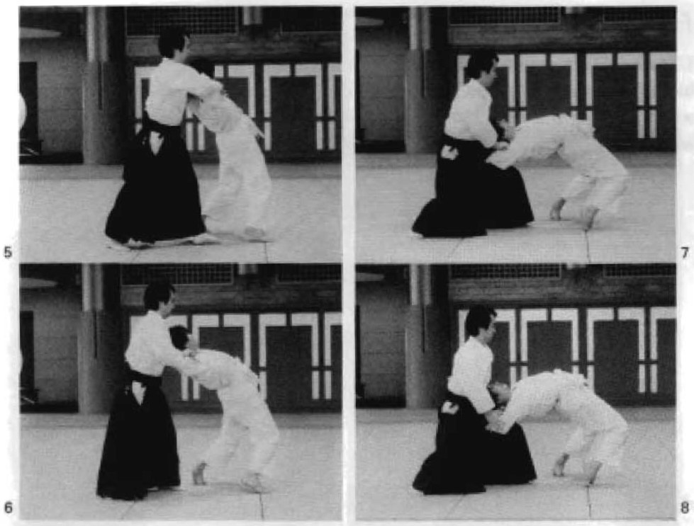 Daitoryu photo 187