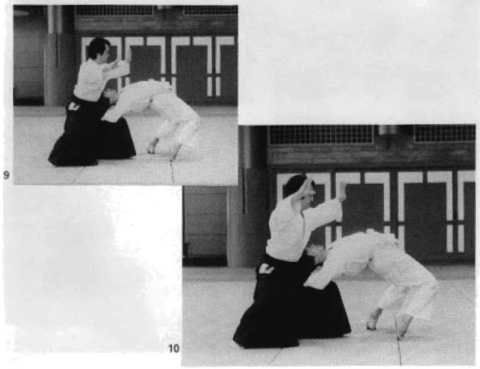 Daitoryu photo 188