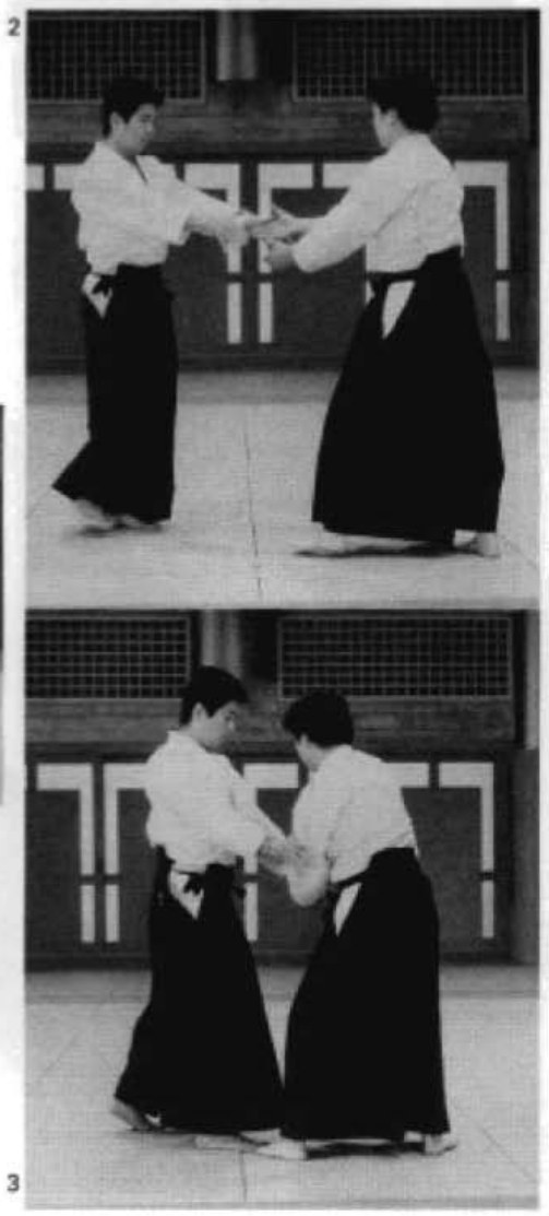 Daitoryu photo 189