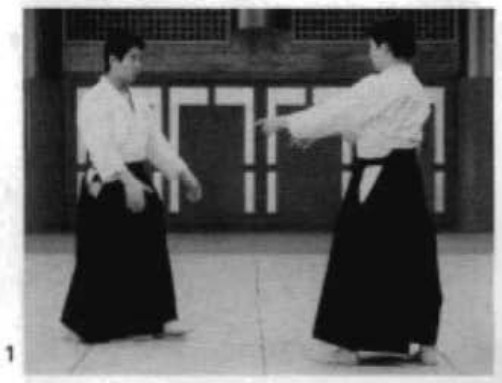 Daitoryu photo 190