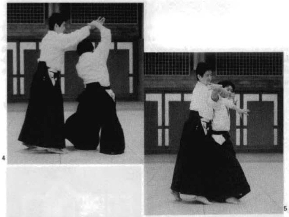 Daitoryu photo 191