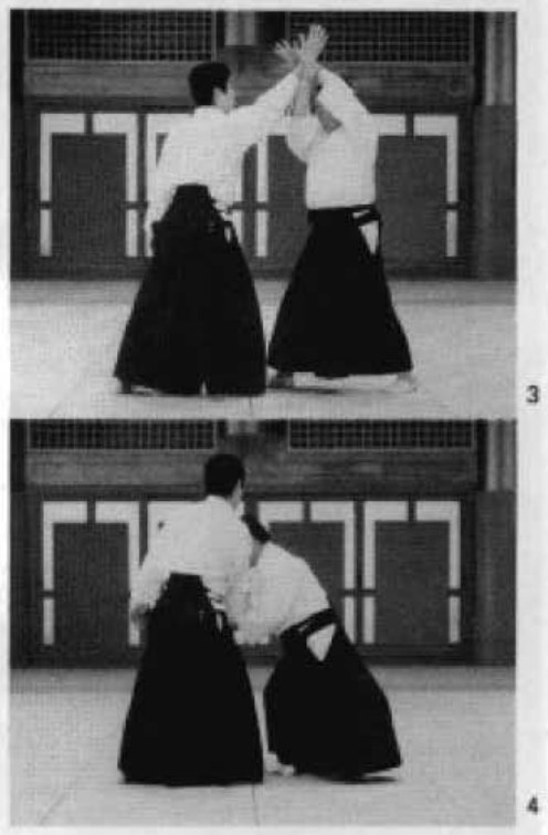 Daitoryu photo 193