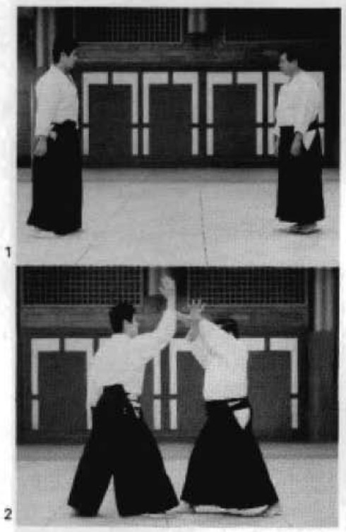 Daitoryu photo 194
