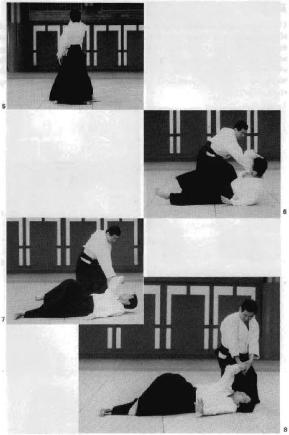 Daitoryu photo 195
