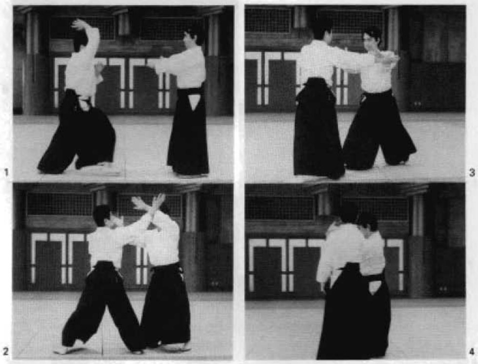 Daitoryu photo 196