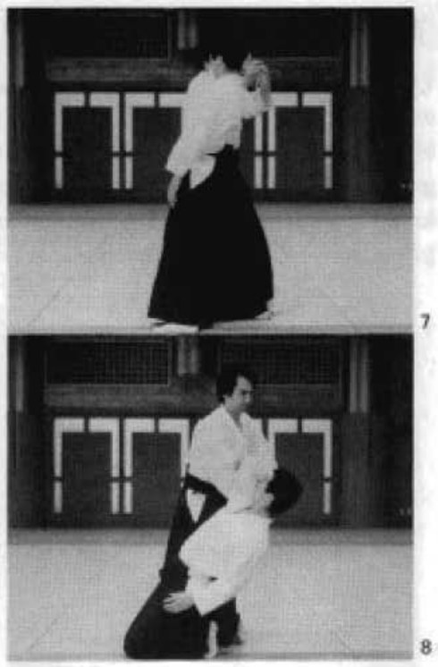Daitoryu photo 197