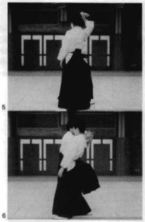 Daitoryu photo 198