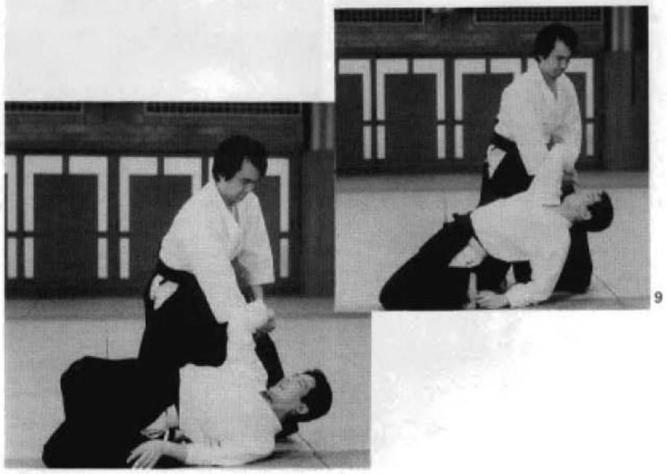 Daitoryu photo 199