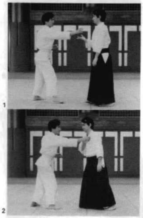 Daitoryu photo 200