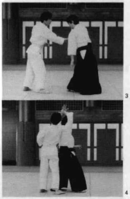 Daitoryu photo 201