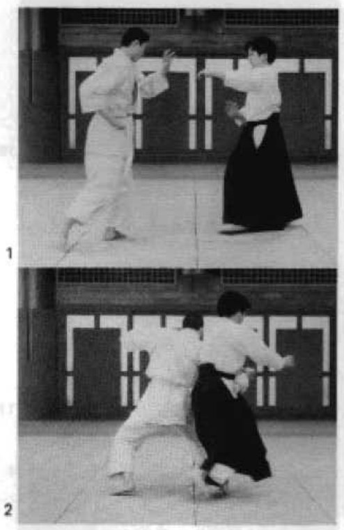Daitoryu photo 203