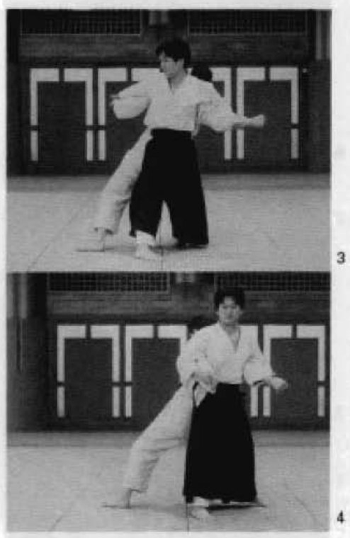 Daitoryu photo 204