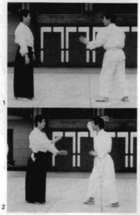 Daitoryu photo 208