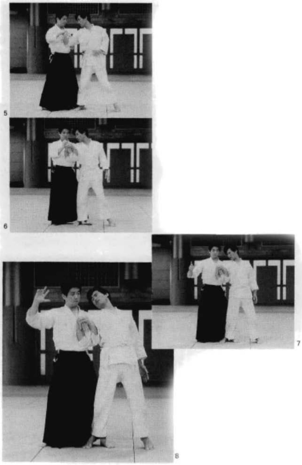 Daitoryu photo 209