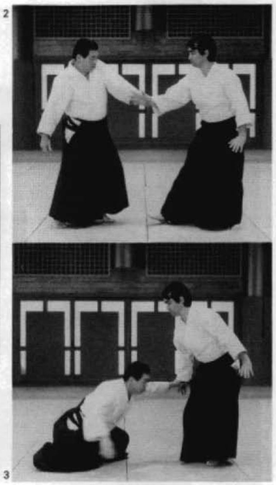 Daitoryu photo 210