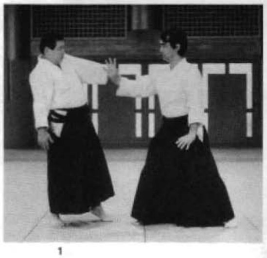 Daitoryu photo 211