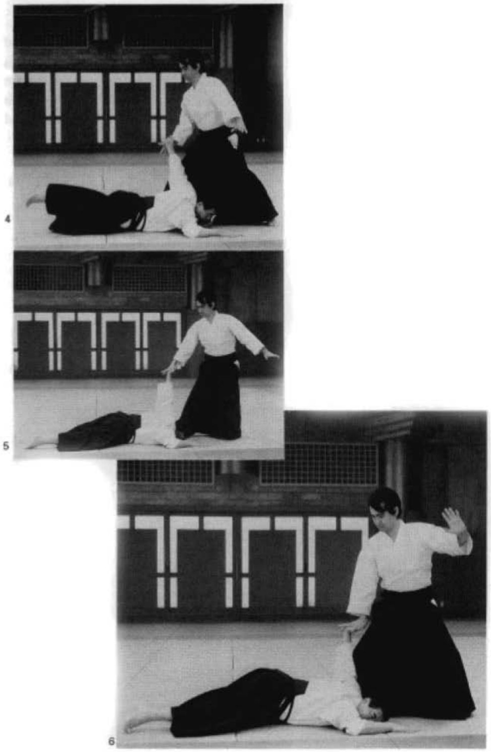 Daitoryu photo 212