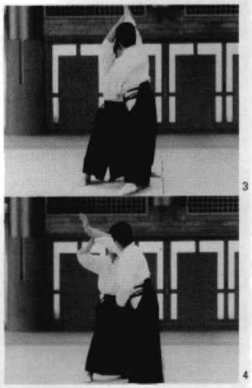 Daitoryu photo 213