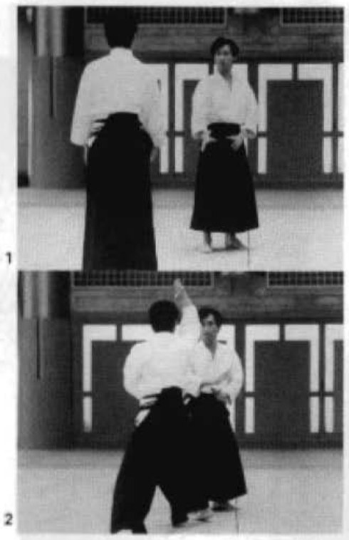 Daitoryu photo 214