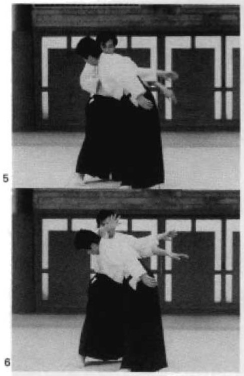 Daitoryu photo 215