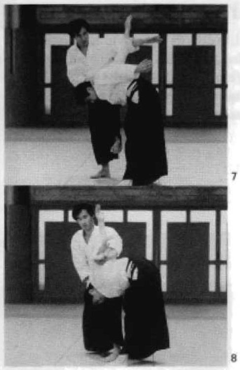 Daitoryu photo 216