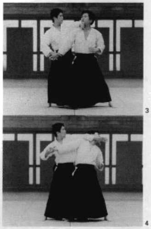 Daitoryu photo 219