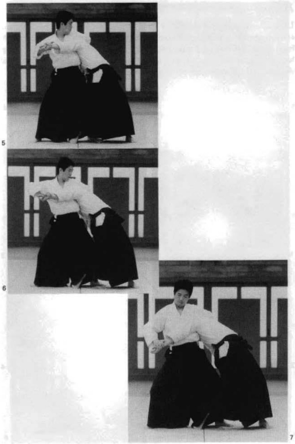 Daitoryu photo 220