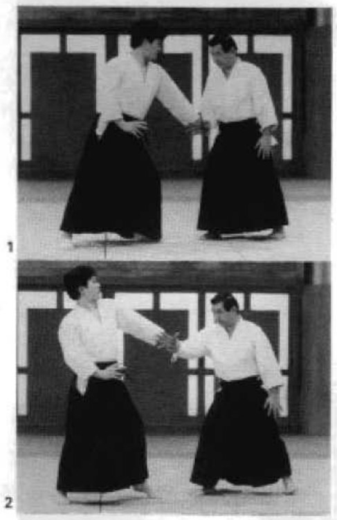Daitoryu photo 221