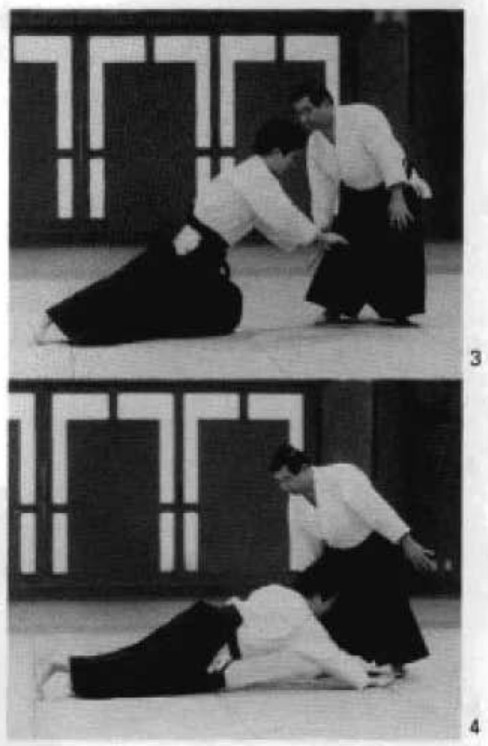 Daitoryu photo 222