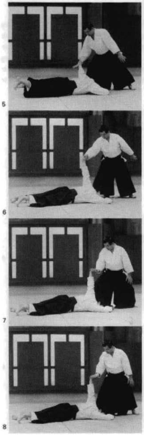 Daitoryu photo 224
